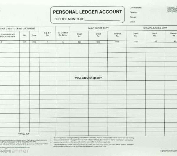 Personal Ledger account