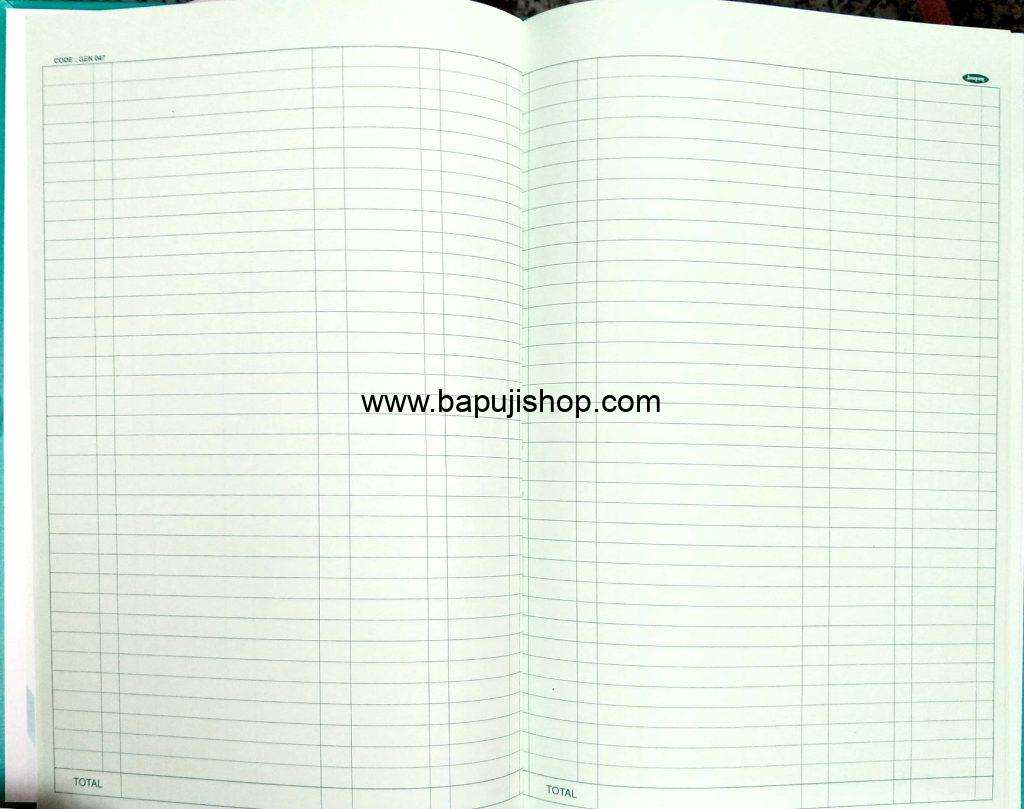 Double entry cash book