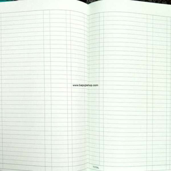 Double entry cash book